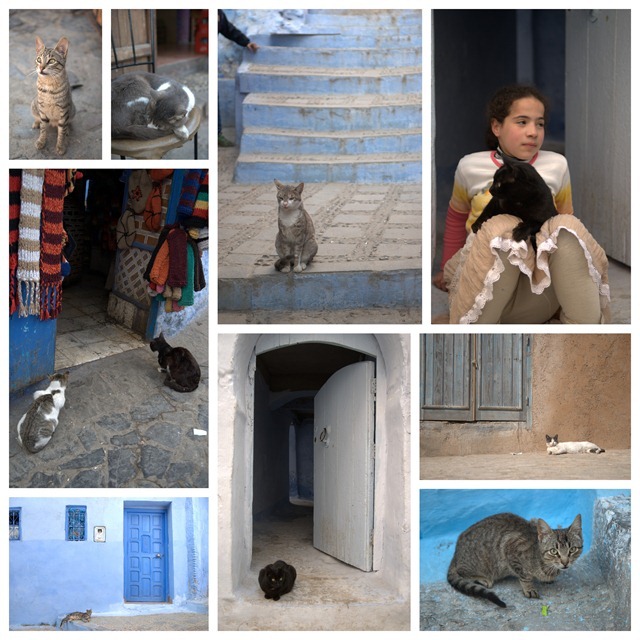 120316 Chefchaouen1