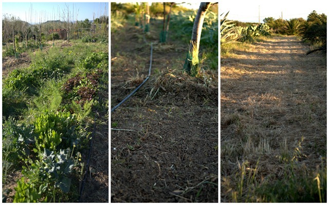 Furrow . La Casa della Acque . Sicily