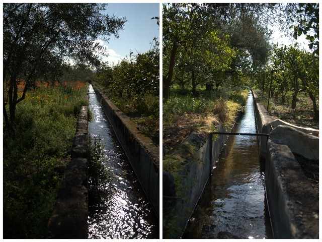 Canal . La Casa della Acque . Sicily