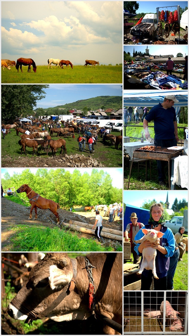 Market . Bogdan Voda . Maramures . Romania